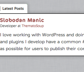 Fancier Author Box by ThematoSoup WordPress Plugin