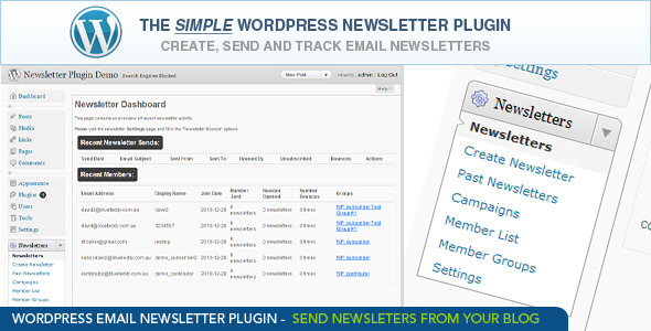 WordPress Email Newsletter Plugin