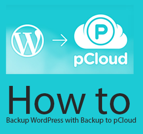 Backup WordPress Files with Backup to pCloud Thumbnail