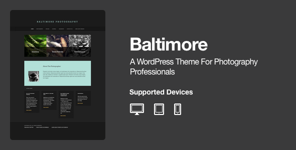 Baltimore - WordPress Photography Theme