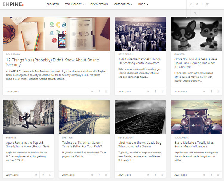 Enpine WordPress Theme