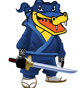 HostGator Ninja Web Hosting