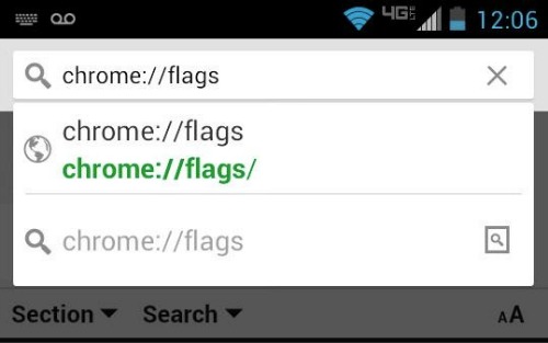 Chrome flags