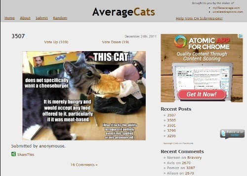 averagecats