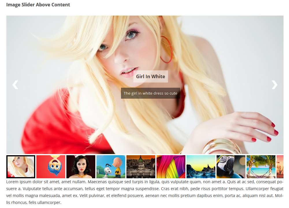 Ultimate Responsive Image Slider Screenshot 1