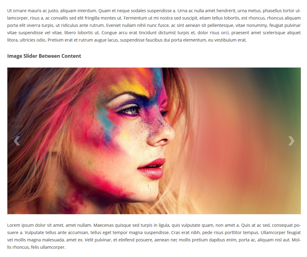 Ultimate Responsive Image Slider screenshot 2