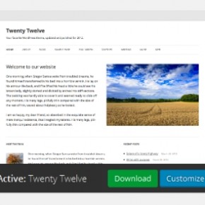 Download Theme button thumbnail