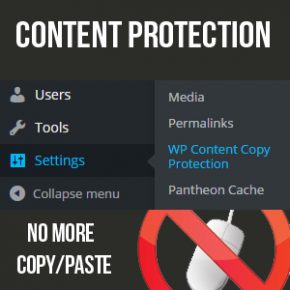 Content Protection WordPress Plugins