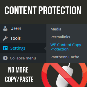 3 Best WordPress Copy/Paste Protecting Plugins (To prevent your content from being stolen)