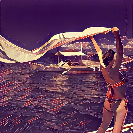 Download Prisma Art Photo Editor Beta 1.0 APK for Android