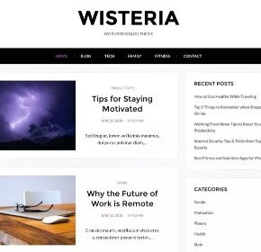 Personal Blog themes for WordPress 2017