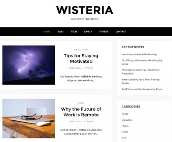 Free 10 Fastest WordPress Themes for Personal Blogs 2017