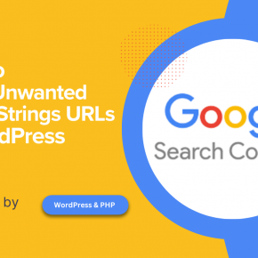 Block Unwanted Query Strings URLs in WordPress