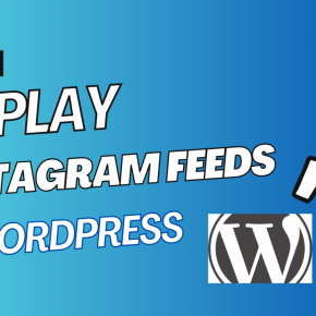 INSTAGRAM FEEDS