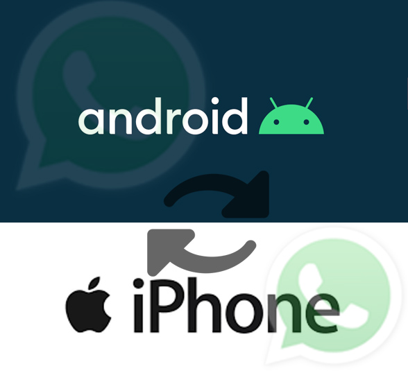 How to move WhatsApp from Android to iPhone